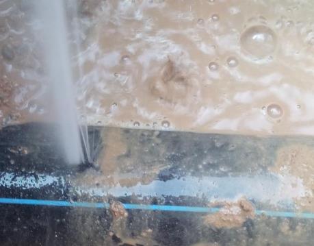 邻水卫生间防水哪家好